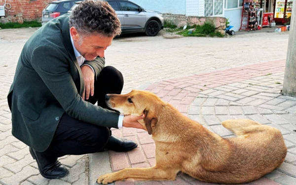/haber/gida-guvenligini-yok-eden-akp-sucu-sokak-hayvanlarina-atiyor-296927