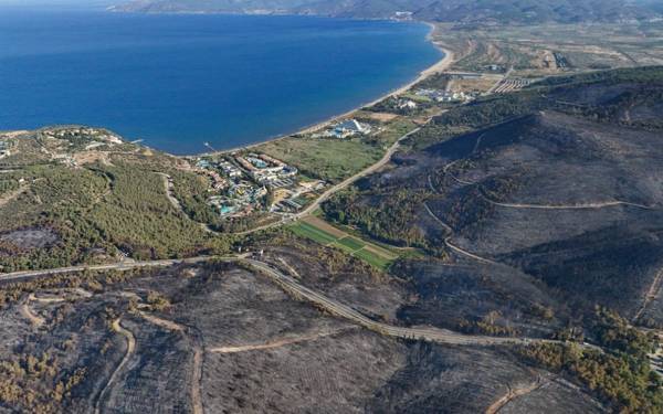 İzmir ve Balıkesir'deki orman yangınları kontrol altına alındı
