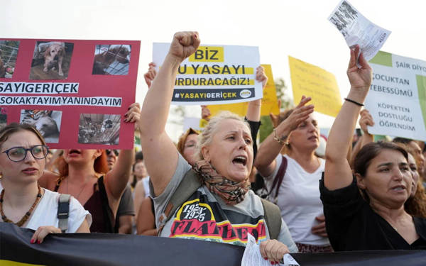/haber/hayvan-haklari-savunuculari-sesimizi-her-zamankinden-cok-yukseltmeliyiz-297818