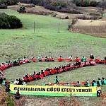 /haber/gerze-termik-santral-projesi-iptal-149515