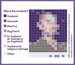 /haber/men-kill-at-least-290-women-and-22-children-in-2017-194342