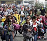 /haber/amerika-kitasinda-8-ayda-514-gocmen-hayatini-kaybetti-211782