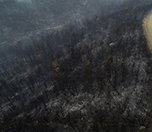 /haber/gelibolu-da-yangin-kontrol-altina-alindi-226997