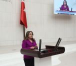 /haber/chp-brings-up-senyasar-family-s-demand-for-justice-at-parliament-253534