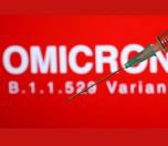 /haber/belcika-da-omicron-un-alt-versiyonu-goruldu-256977