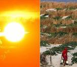 /haber/hindistan-da-turuncu-alarm-sicaklik-49-dereceyi-buldu-261915