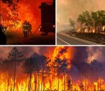/haber/2022-de-ab-ulkelerinde-2-bine-yakin-orman-yangini-265128