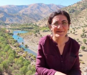 /haber/remarks-of-senior-diplomat-about-killing-of-kurdish-journalist-on-parliamentary-agenda-268333