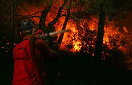 ‘Not Even a Single Square-Meter of Blazed Forestland will be Zoned for Construction'
