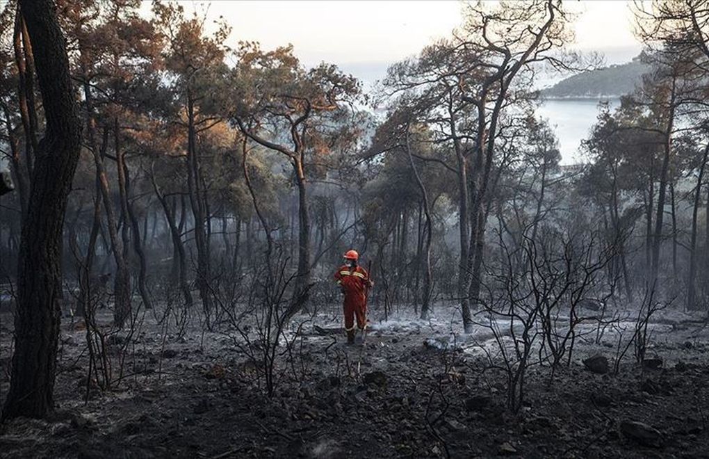 "Yangınla ilgili eğitim, önlem yok, Türkiye'de itfaiye yok"