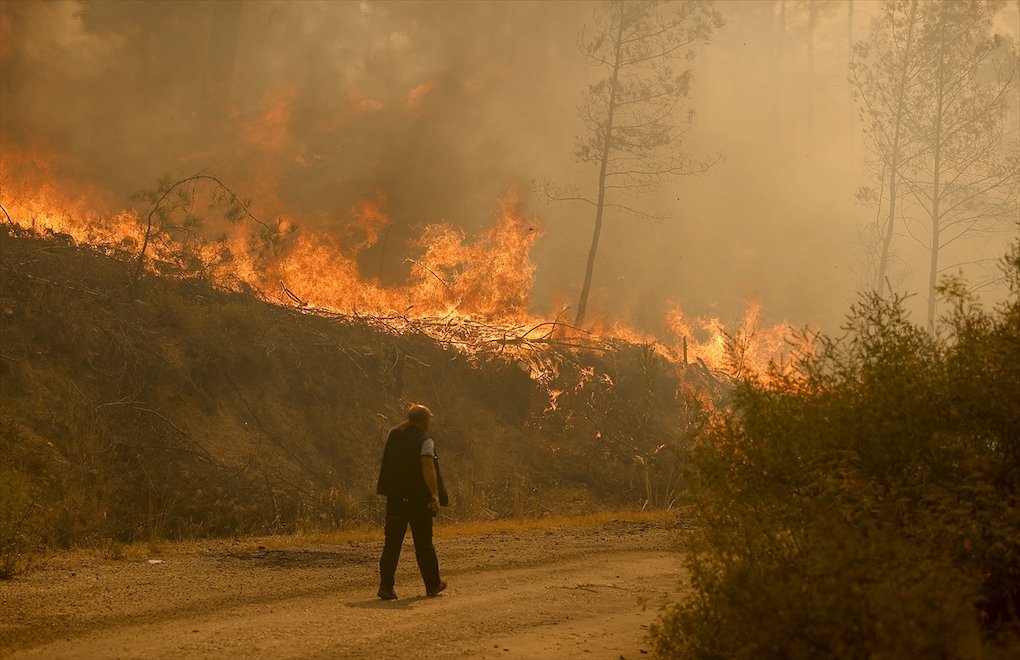 Ministry: Turkey hit by 1,171 forest fires in summer 2021